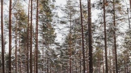 #49 Derin Gırtlaktan İpuçları, Seksi Eş Olmak ve Casey Donatello ile Erkeğinizi Sürerken Kendine Güvenmek