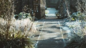 Kocasını Tahrik Eden Sarışın Milf ve Cuckold Fantazisi