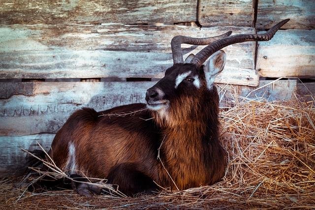 Aldatma 101 Rehberi: Erkekler Neden Bundan Hoşlanır ve Bir Erkeği Nasıl Aldatabilirsiniz 1 Aldatılan Nedir? Erkekleri Neden Çekici Buluyorlar?